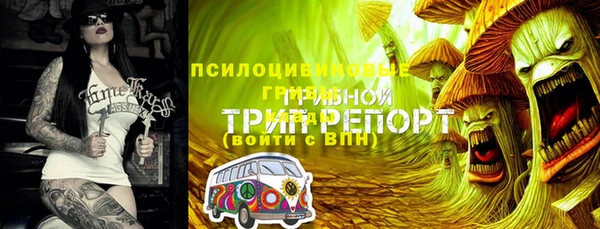 mdpv Зерноград
