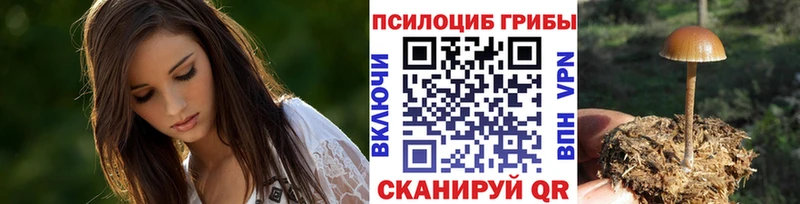 Псилоцибиновые грибы Magic Shrooms  Купить закладки  Любань 