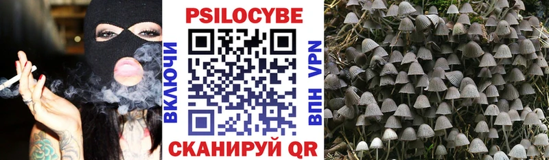 Галлюциногенные грибы MAGIC MUSHROOMS Любань